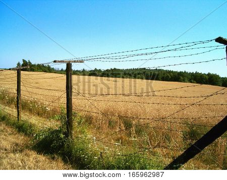 Picture of a barbed wire fence next to a field