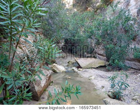 Avakas Gorge In Western Cyprus