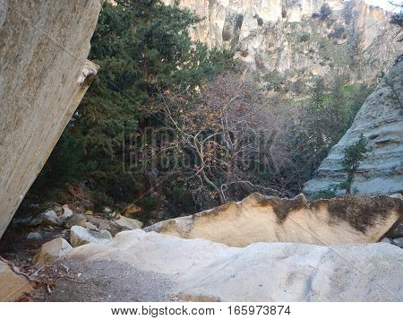 Avakas Gorge In Western Cyprus