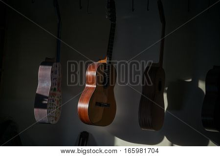 a row of classical unfinished guitar at workshop in sunlight.
