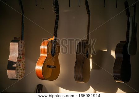 a row of classical unfinished guitar at workshop in sunlight.