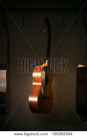 a row of classical unfinished guitar at workshop in sunlight.