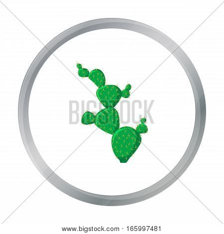 Mexican cactus icon in cartoon style isolated on white background. Mexico country symbol vector illustration. - stock vector