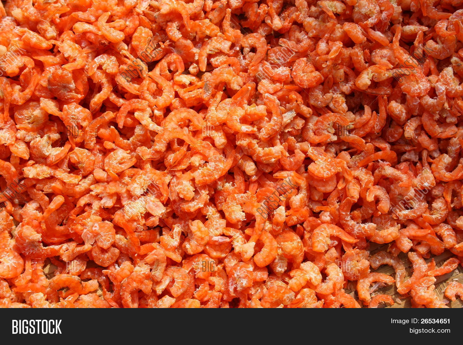 Tiny Dried Shrimp Image & Photo (Free Trial) Bigstock