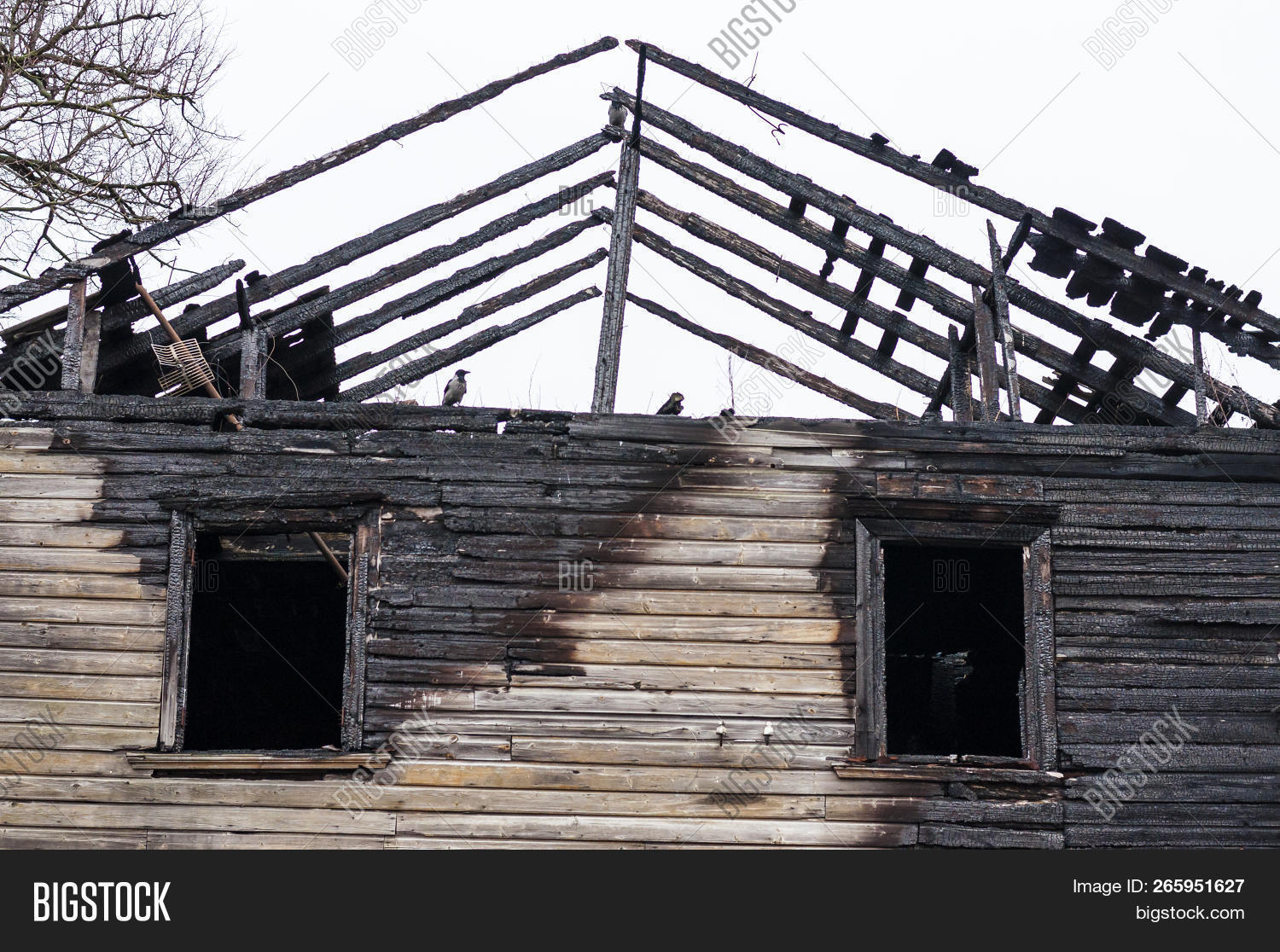 Remains Burnt Wooden Image & Photo (Free Trial) Bigstock