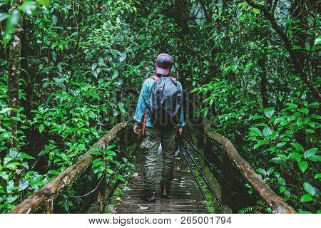 Asian Man Travel Nature. Take A Picture Nature Study In The Jungle At Chiangmai In Thailand.