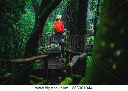 Asian Women Travel Relax Nature Study In The Jungle At Chiangmai In Thailand.
