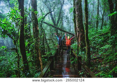 Lover Asian Man And Asian Women Travel Nature. Nature Study In The Rain Forest At Chiangmai In Thail