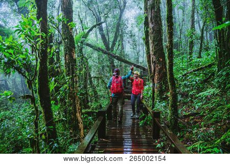 Lover Asian Man And Asian Women Travel Nature. Nature Study In The Rain Forest At Chiangmai In Thail