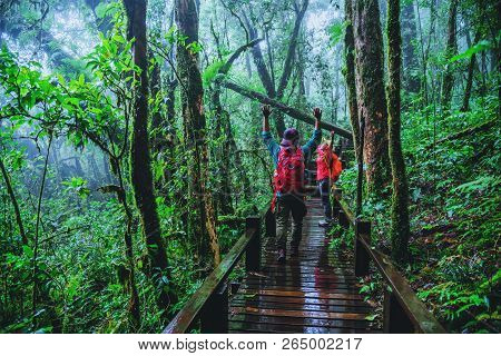 Lover Asian Man And Asian Women Travel Nature. Nature Study In The Rain Forest At Chiangmai In Thail