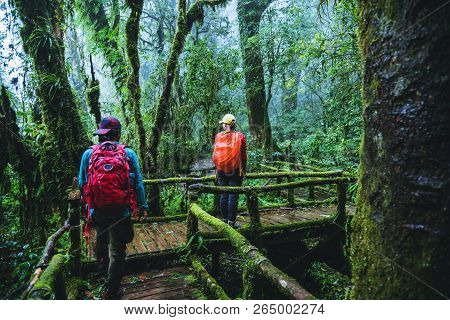 Lover Asian Man And Asian Women Travel Nature. Nature Study In The Rain Forest At Chiangmai In Thail
