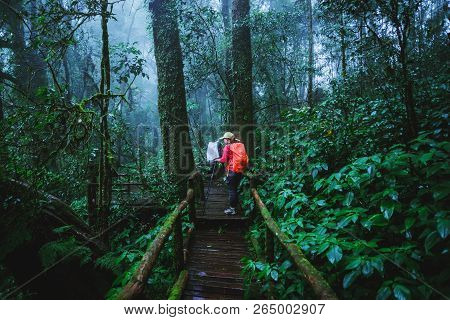 Asian Women Travel Nature. Take A Picture Nature Study In The Jungle At Chiangmai In Thailand.
