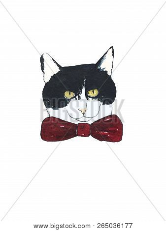 Watercolor Illustration Of Cute Cat With Red Bow. Cartoon Characters.