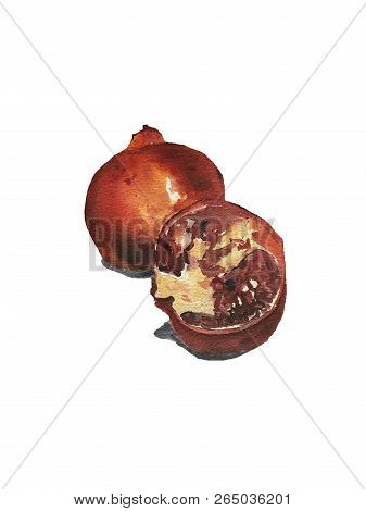 Watercolor Hand Drawn Illustration Of Pomegranate. Watercolor Fruit Set With Two Hole Pomegranate. A