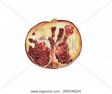 Watercolor Hand Drawn Illustration Of Pomegranate. Watercolor Fruit:half Grenade. Art Can Be Used Fo