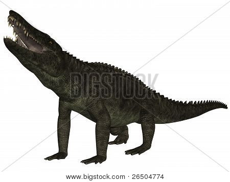Uberabasuchus terrificus