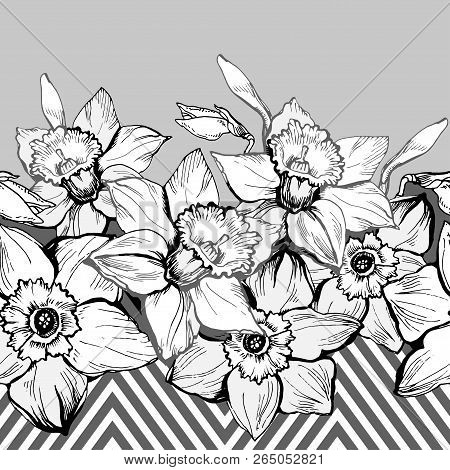 Geometric Gorifloral Seamless Pattern Border With Hand Drown Flowers Daffodils, Narcissus. Vector Te