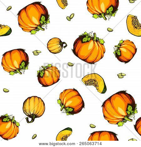 Colorful Pumpkin Sketch Hand Drawn Illustration. Seamless Pattern. Vegetable Engraved Style Illustra