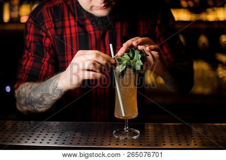 Tattooed Barman Decorating Tasty Sherry Cobbler Drink In A Cocktail Glass With Mint Leaves On The Ba