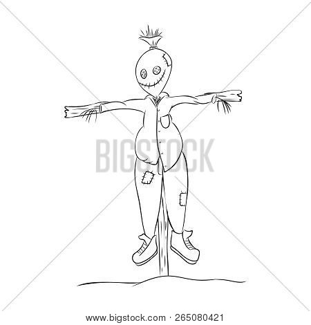 Garden Effigy With A Cute Face, Halloween, Harvesting.