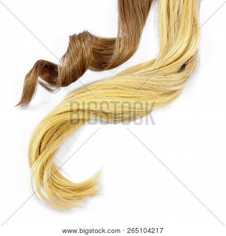 Beautiful Brunette And Blonde Hair Tails, Isolated On White Background. Long Brown And Blond Hair Ta