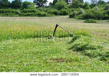 Tradition Scythe For Mowing The Green Grass On Meadow