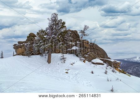 Big Beautiful Stone On The Top Of The Mountain Utuya. Winter Landscape In Ski Resort Sheregesh.  Rus