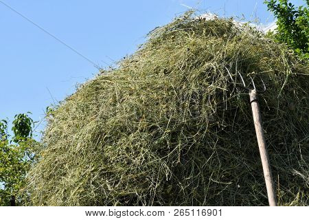 Hay Storage In The Meadow Traditionally With Rakes And Rakes