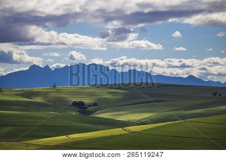 Rolling Green Agricultural Fields With Mountains In The Background - Caledon, Western Cape - South A