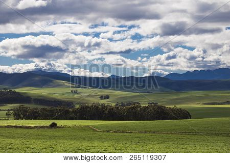 Rolling Green Agricultural Fields With Mountains In The Background - Caledon, Western Cape - South A