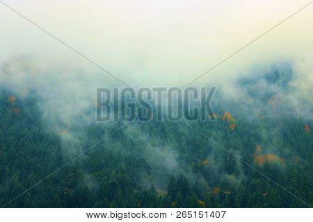 Mountain Ridge With Lush Green Pine Forests Surrounded By Fog And Low Clouds On A Rainy Day Taken In