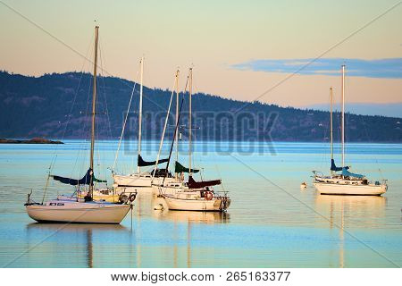 October 9, 2018 In Victoria, Bc:  Sail Boats Anchored On The Bay Off The Coast Taken In Victoria, Bc