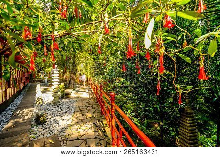 The Japanese Themed Tropical Garden Outside Of Funchal On The Island Of Maderia - Portugal