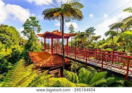 The Botanical Garden - Maderia