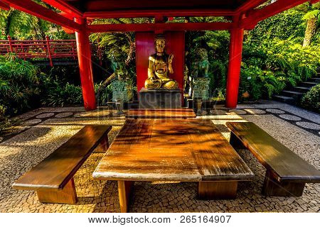 The Botanical Garden - Maderia