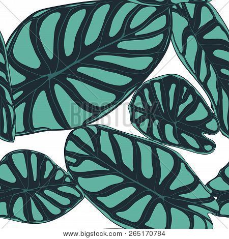 Seamless Tropical Pattern. Trendy Background With Rain Forest Plants. Vector Leaf Of Alocasia. Arace