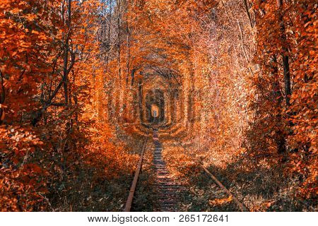 love tunnel in autumn