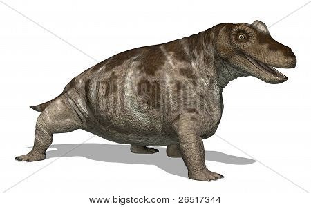 Keratocephalus Dinosaurier