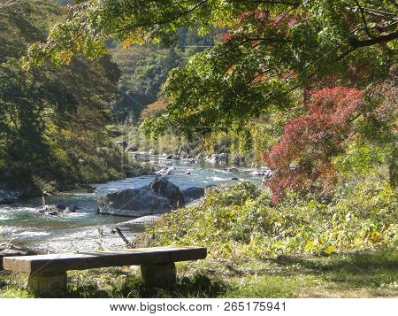 Natural Autumn Season View Of Tama River Enviroment At Mitake Mountain National Park Tokyo Japan.