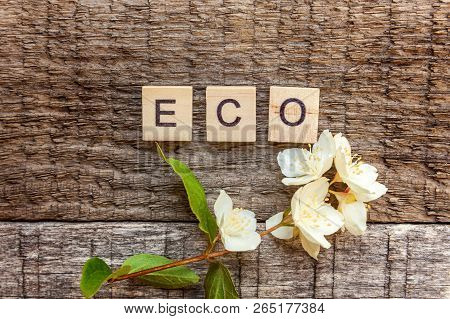 Inscription Eco Letters Word Jasmine Flower On Old Rustic Wooden Backdrop. Eco Village Abstract Envi