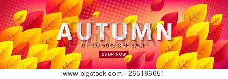 Autumn Sale Vector Promotion Banner With Colorful Leaves On Textured Background. Fall Season, Horizo