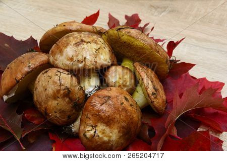 Mushrooms And Leaves On Wooden Table, Autumnal Decorations