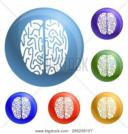 Top View Brain Icons Set Vector 6 Color Isolated On White Background