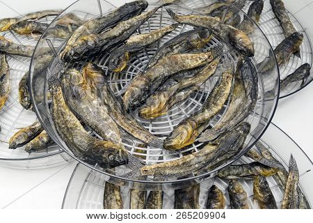 Dried Salted Fish.marine Goby In Electric Drier At Home.