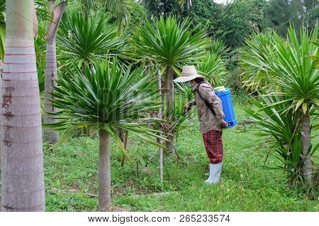 Agriculturist. Spraying Pesticides Fertilizers, Agriculturist Uses Chemicals On The Farm, Farmers Us