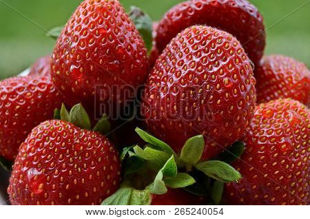 Fresh Strawberries With Leaves. Colored Panno Of Berries. Garden Harvest. Closeup. Background Of Ber