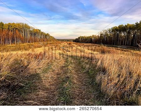View Of A Quadding Trail Through A Cutline In Fall