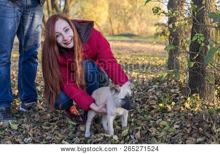 A Girl Holds A Dog In A Meadow Covered With Leaves In Autumn