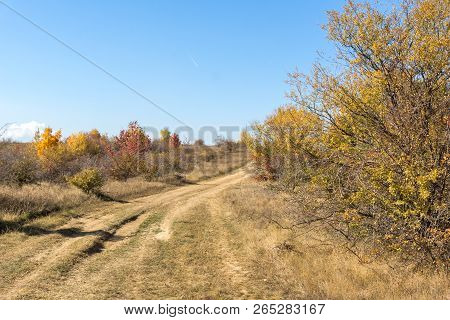 Amazing Autumn Landscape Of Cherna Gora (monte Negro) Mountain, Pernik Region, Bulgaria