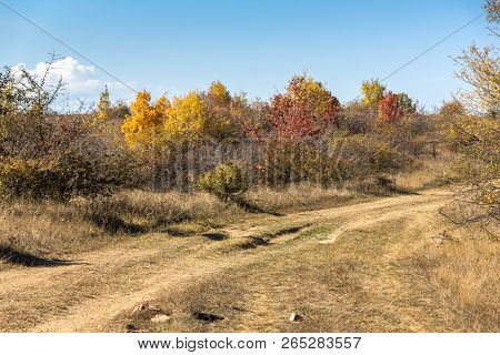 Amazing Autumn Landscape Of Cherna Gora (monte Negro) Mountain, Pernik Region, Bulgaria